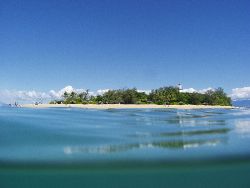 Low Isles- Tropical paridise- Far North Queensland .Austr... by Joshua Miles 